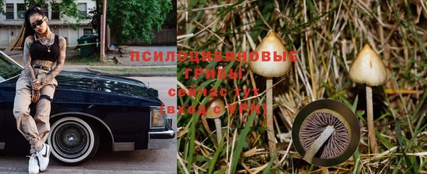 ALPHA PVP Арсеньев